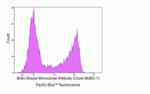 BrdU Antibody in Flow Cytometry (Flow)