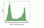 BrdU Antibody in Flow Cytometry (Flow)