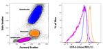 CD54 (ICAM-1) Antibody in Flow Cytometry (Flow)