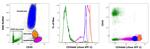 CD44std Antibody