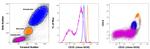 CD31 (PECAM-1) Antibody in Flow Cytometry (Flow)