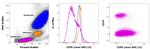 CD95 (APO-1/Fas) Antibody in Flow Cytometry (Flow)