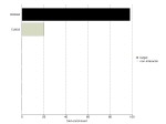 p14ARF Antibody