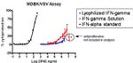 Bovine IFN-gamma Protein in ELISA (ELISA)