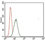 Brachyury Antibody in Flow Cytometry (Flow)