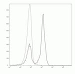 CD45R Antibody in Flow Cytometry (Flow)