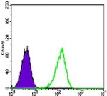 PRMT4 Antibody in Flow Cytometry (Flow)