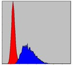 Caspase 8 Antibody in Flow Cytometry (Flow)