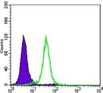 Cyclin B1 Antibody in Flow Cytometry (Flow)