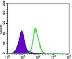 CD104 Antibody in Flow Cytometry (Flow)