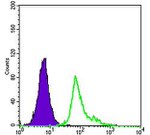 CD105 Antibody in Flow Cytometry (Flow)