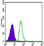 VE-cadherin Antibody in Flow Cytometry (Flow)