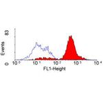 CD204 Antibody in Flow Cytometry (Flow)