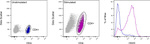 CD25 Antibody