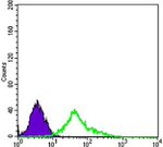 NGFR Antibody in Flow Cytometry (Flow)