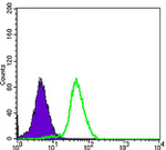 B7-H3 Antibody in Flow Cytometry (Flow)