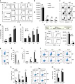 CD3e Antibody in Flow Cytometry, T-Cell Activation (Flow, TCA)