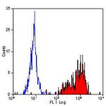 ITGB1 Antibody in Flow Cytometry (Flow)