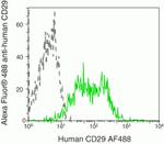 ITGB1 Antibody in Flow Cytometry (Flow)