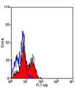 NKG2D Antibody in Flow Cytometry (Flow)