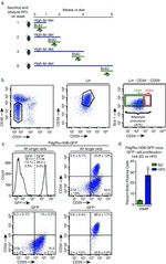 Ly-6A/E (Sca-1) Antibody in Flow Cytometry (Flow)