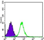 N-cadherin Antibody in Flow Cytometry (Flow)