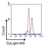 CD38 Antibody in Flow Cytometry (Flow)