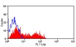 CD38 Antibody in Flow Cytometry (Flow)