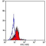 CD38 Antibody in Flow Cytometry (Flow)