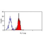 CD38 Antibody in Flow Cytometry (Flow)