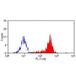 CD38 Antibody in Flow Cytometry (Flow)