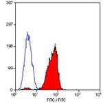 CD46 Antibody in Flow Cytometry (Flow)