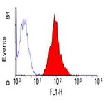 CD46 Antibody in Flow Cytometry (Flow)