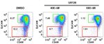 CD49f (Integrin alpha 6) Antibody in Flow Cytometry (Flow)