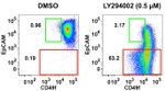 CD49f (Integrin alpha 6) Antibody in Flow Cytometry (Flow)