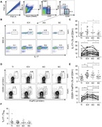 CD4 Antibody in Flow Cytometry (Flow)