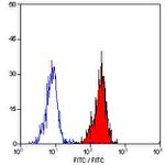 CD55 Antibody in Flow Cytometry (Flow)