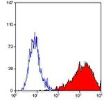 Transferrin Receptor Antibody in Flow Cytometry (Flow)