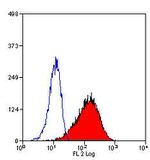 Transferrin Receptor Antibody in Flow Cytometry (Flow)