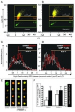 CD8 Antibody in Flow Cytometry (Flow)