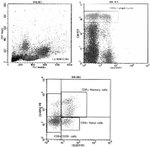 CD8a Antibody in Flow Cytometry (Flow)