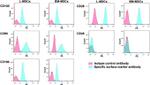 CD90 (Thy-1) Antibody in Flow Cytometry (Flow)