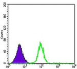 CDK5 Antibody in Flow Cytometry (Flow)