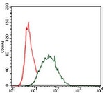 Cytokeratin 5 Antibody in Flow Cytometry (Flow)