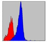 CrkL Antibody in Flow Cytometry (Flow)