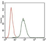 CK2 alpha-2 Antibody in Flow Cytometry (Flow)