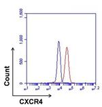 CXCR4 Antibody in Flow Cytometry (Flow)