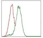 CYP3A4 Antibody in Flow Cytometry (Flow)