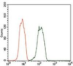 Dynactin 4 Antibody in Flow Cytometry (Flow)