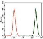 Doublecortin Antibody in Flow Cytometry (Flow)